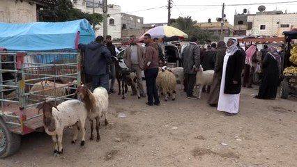 Gazzeli anne, engelli 5 oğluna bakmak için hayvan besiciliği yapıyor