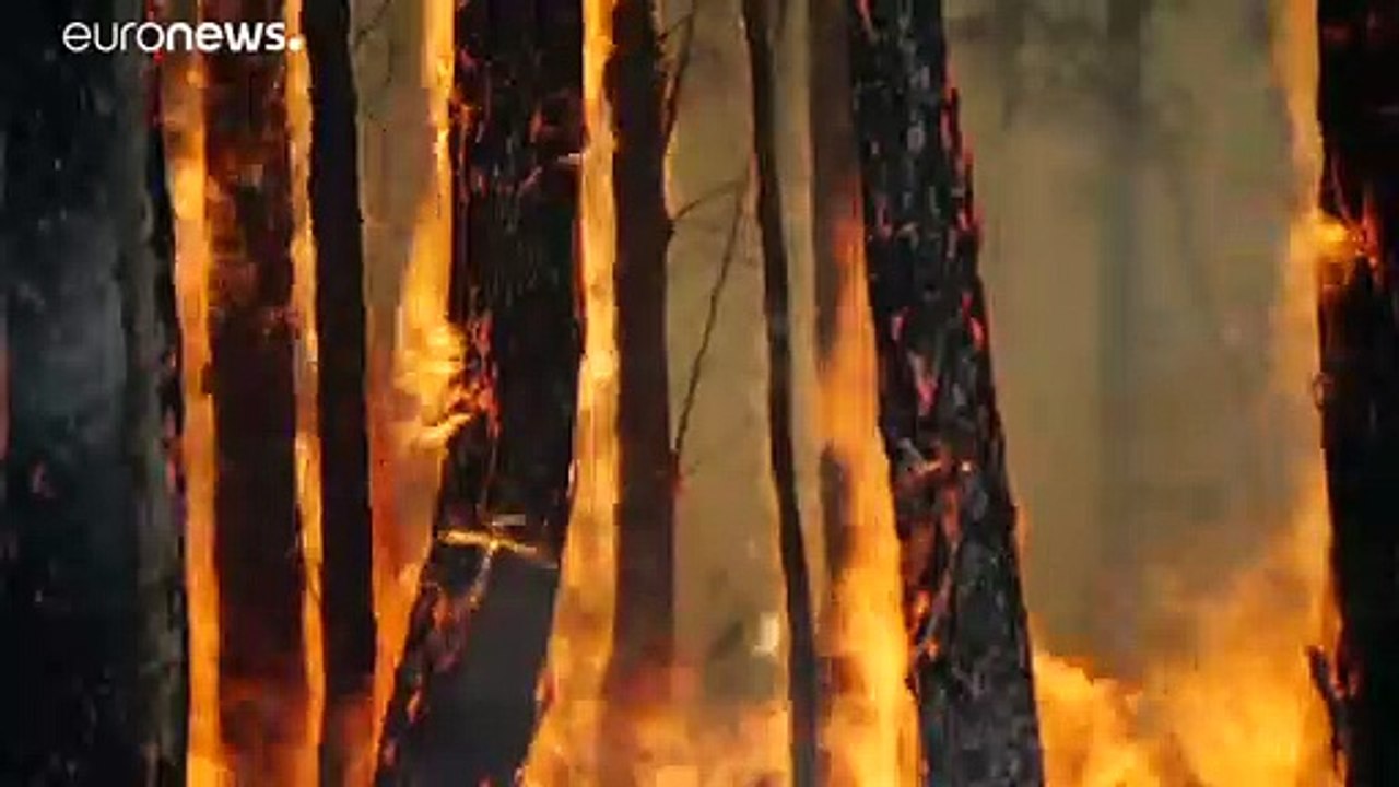 Mehr als 40 Grad: Australien steht vor neuer Hitzewelle
