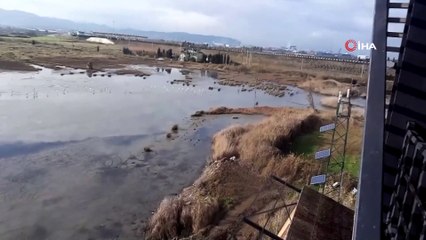 Hersek lagününde KOSK sayımı yapıldı
