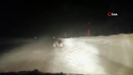 Aç kalan domuzlar karayoluna indi