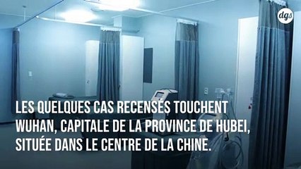 Un virus d'origine inconnue suscite de nombreuses inquiétudes en Chin