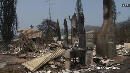 Wildfires leave behind barren wastelands
