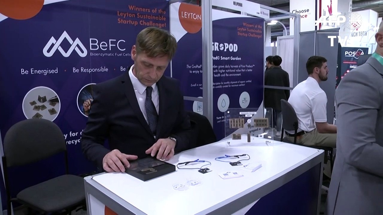 Bio-Batterien aus Papier und Zucker