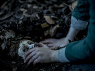 Brahms: The Boy II: Trailer HD VO st FR/NL