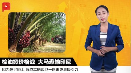 棕油掀价格战 大马恐输印尼 | 财经espresso
