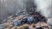 Report TV - Përfshihet nga flakët mali i Karaburunit, në rrezik edhe pylli i Llogarasë