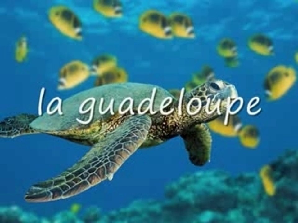Mes vacances_0001