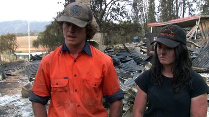 Canguros muertos y tierra arrasada: el devastador paisaje en Australia