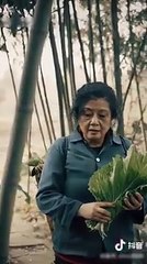 funy funy chinees blooper hits