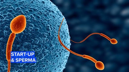 Start-up per la fertilità maschile