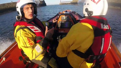 Dog rescued after falling down 65ft drop in Yorkshire