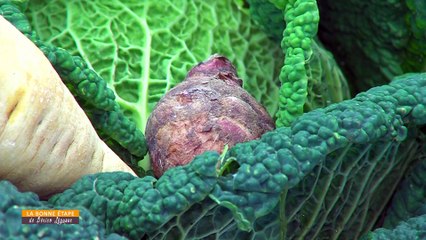 La  Bonne Étape - 09/01/2020 - La Liodière