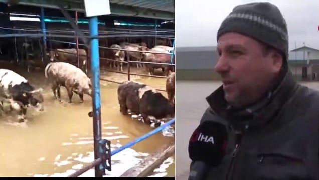 Hırsızlar Sebep Oldu! Binlerce Dönüm Ekili Alan ve 2 Bin Boğa Sular Altında Kaldı