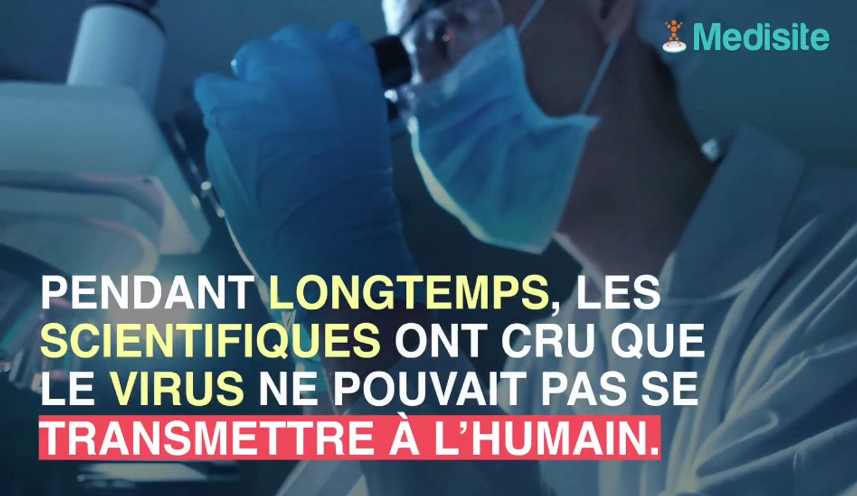 Virus Borna : une inflammation du cerveau mortelle chez les humains