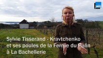 Savoir faire en Périgord - Sylvie Tisserand - Kravtchenko - Jeudi