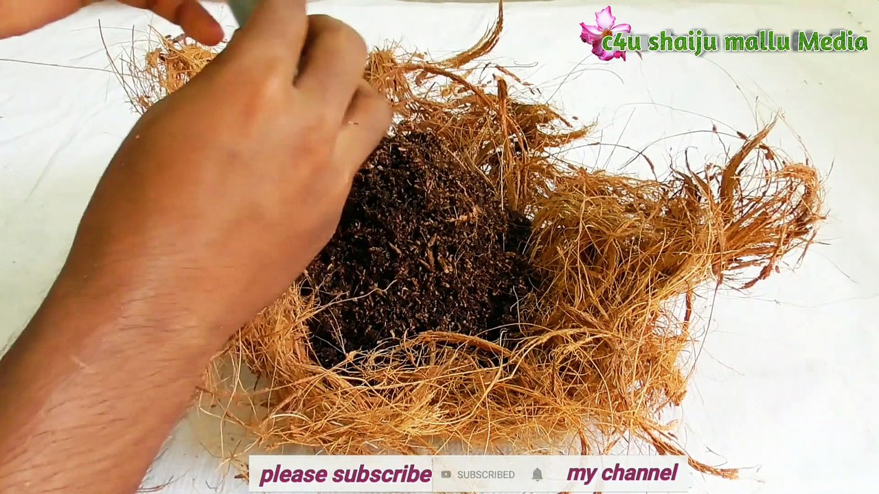 How to Make Tree Planting in Net/hanging pot diy/hanging pot plants/New Method