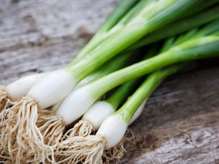You Can Grow Your Own Scallions with Nothing More Than a Glass of Water—Here’s How