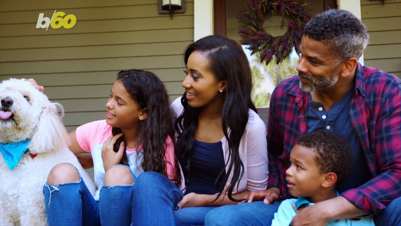 Hate To Leave? This Is How Long You Can Leave A Dog Alone video