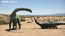 dinosaur babies in danger! - baby dinosaur island: dinosaur babies in danger dinosaur babies in danger! - dinosaur babies in danger dinosaur babies in danger! - biggest dinosaur ever! argentinosaurus | planet dinosaur | bbc earth