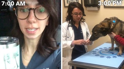 A Veterinarian's Entire Routine, from Waking Up to Treating Pets