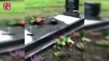 Almanya'da Müslümanlara ait mezarlara çirkin saldırı