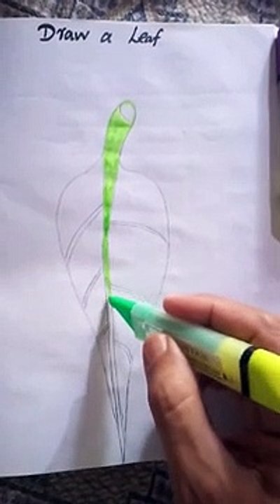 easy draw a leaf -
