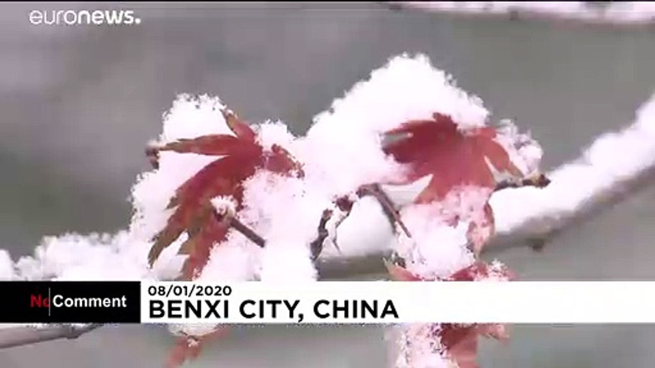 El noreste de China se cubre de un espectacular manto de nieve