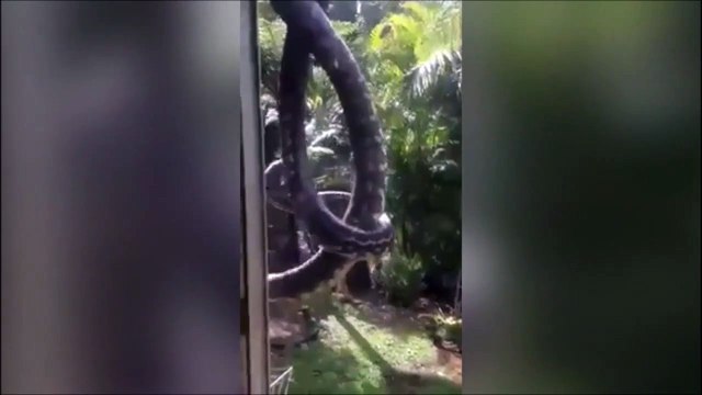 Vous allez vite comprendre pourquoi il ne peut pas ouvrir ses fenêtres