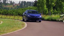 2020  Toyota  Camry  Lebanon  TN | Toyota  Camry dealership Manchester  TN