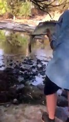 Relocating a Fish During a Drought