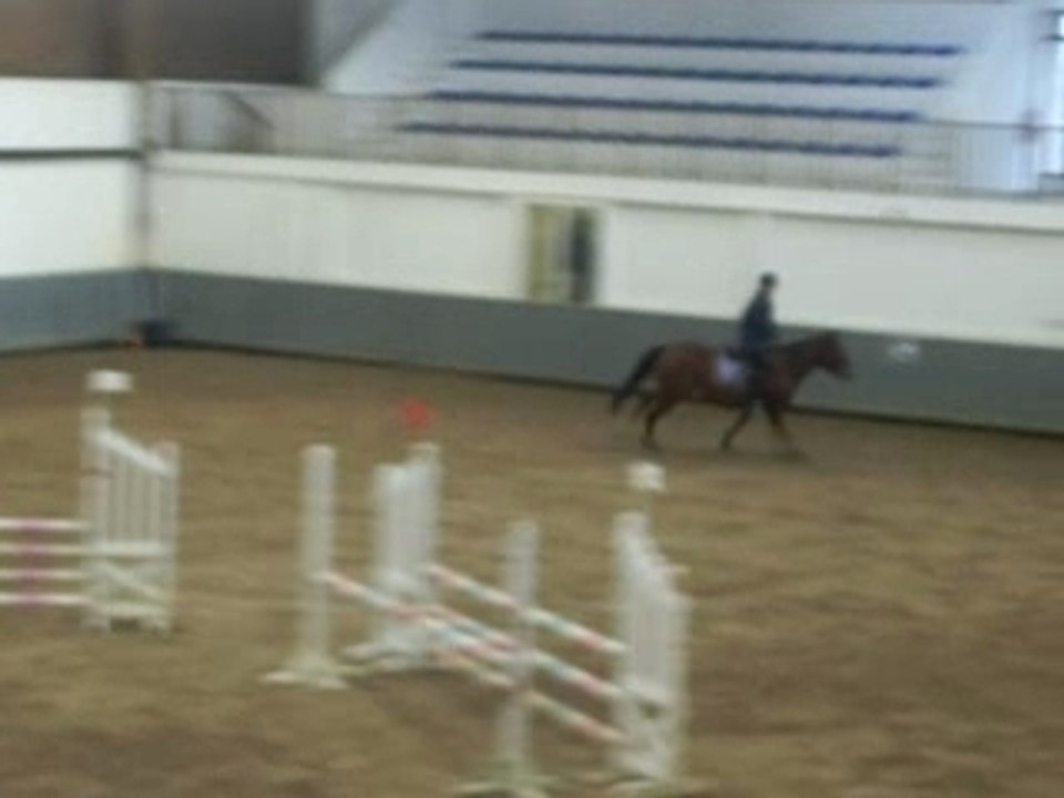 chute cheval au centre equestre de reims le CER ou ARCER