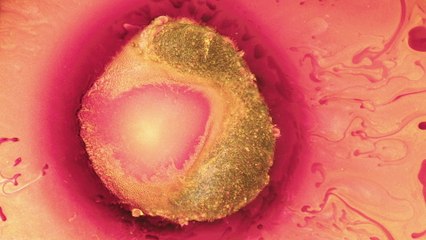 Joep Beving - Klangfall