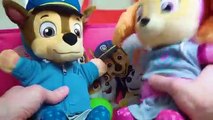 Video Educativo para Niños- Juguetes Paw Patrol Skye y Chase-