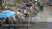 Citizens battle to save China's sickly 'mother river'