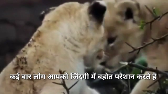 MMoMotivational status video | best motivational video || inspirational status || whatsapp status video