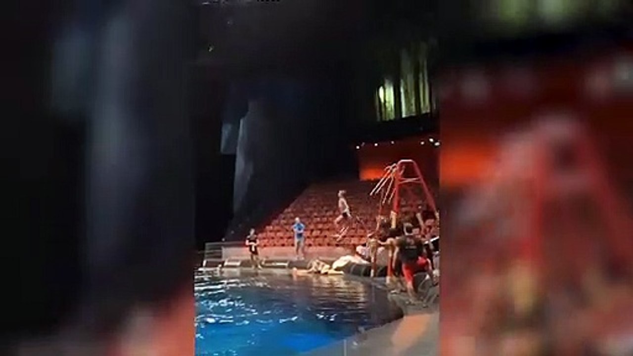 杂技万博跳水