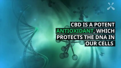 What is CBD - Find out now