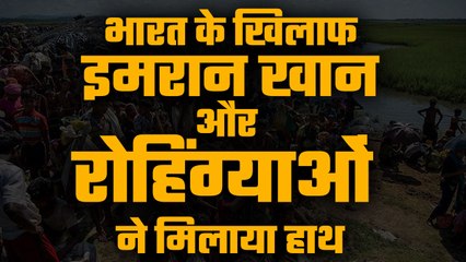 Pakistan is training and recruiting Rohingyas for terror attacks in India