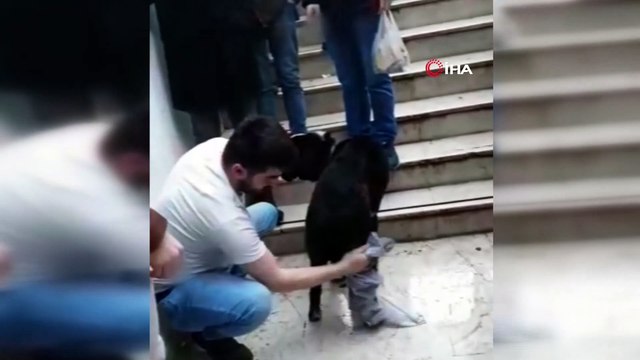 Yağmurda ıslanan köpeği kazağını çıkarıp kurulayan vatandaş içleri ısıttı