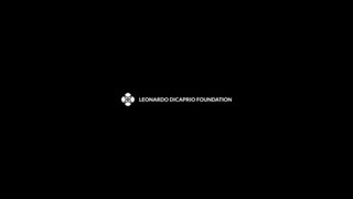 Leonardo DiCaprio Launches a $3million Australia Wildfire Fund