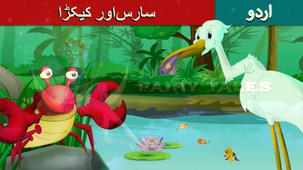 سارساور_کیکڑا_|_Crane_and_the_Crab_in_Urdu_|_Urdu_Story_|_Urdu_Fairy_Tales(2K)