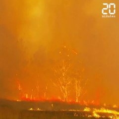 Tải video: Australie: Les chiffres impressionnants des incendies