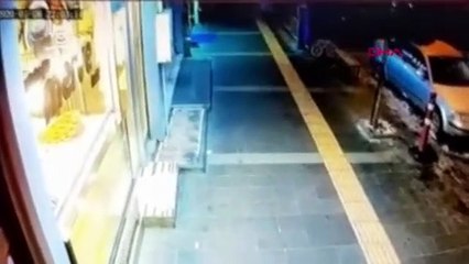 Sokak köpekleri vatandaşın kabusu oldu