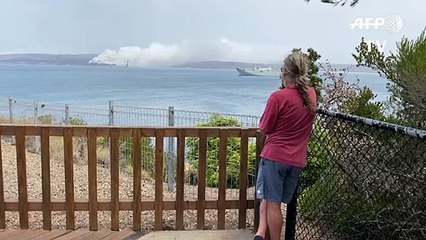Australia fires: Smoke rises from burning woodchip mill