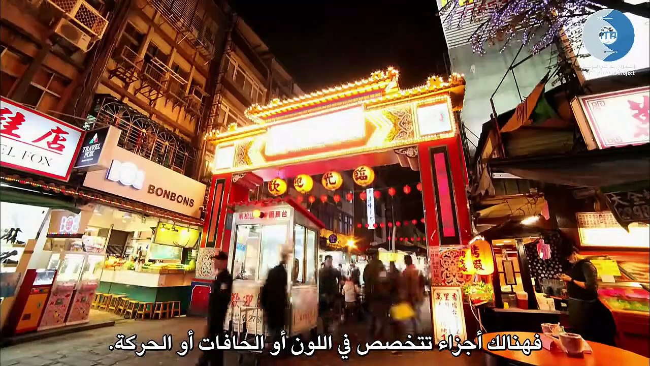 الدماغ مع ديفيد ايجلمان_الحلقة الأولى_ماهو الواقع؟ -
