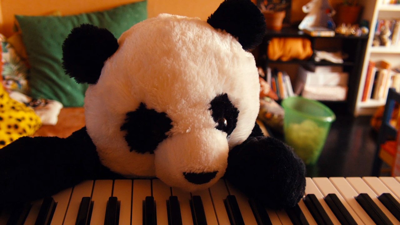 Pandi panda dans son H.L.M.