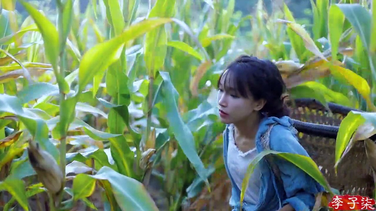 Golden season, full of joy of harvest and sweetness of corn;