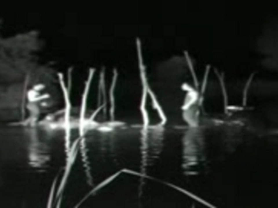 DE L'EAU DANS LES OREILLERS version 2007