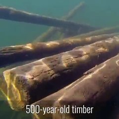 Buy Wooden Eyeglass Frames – Loch Effects