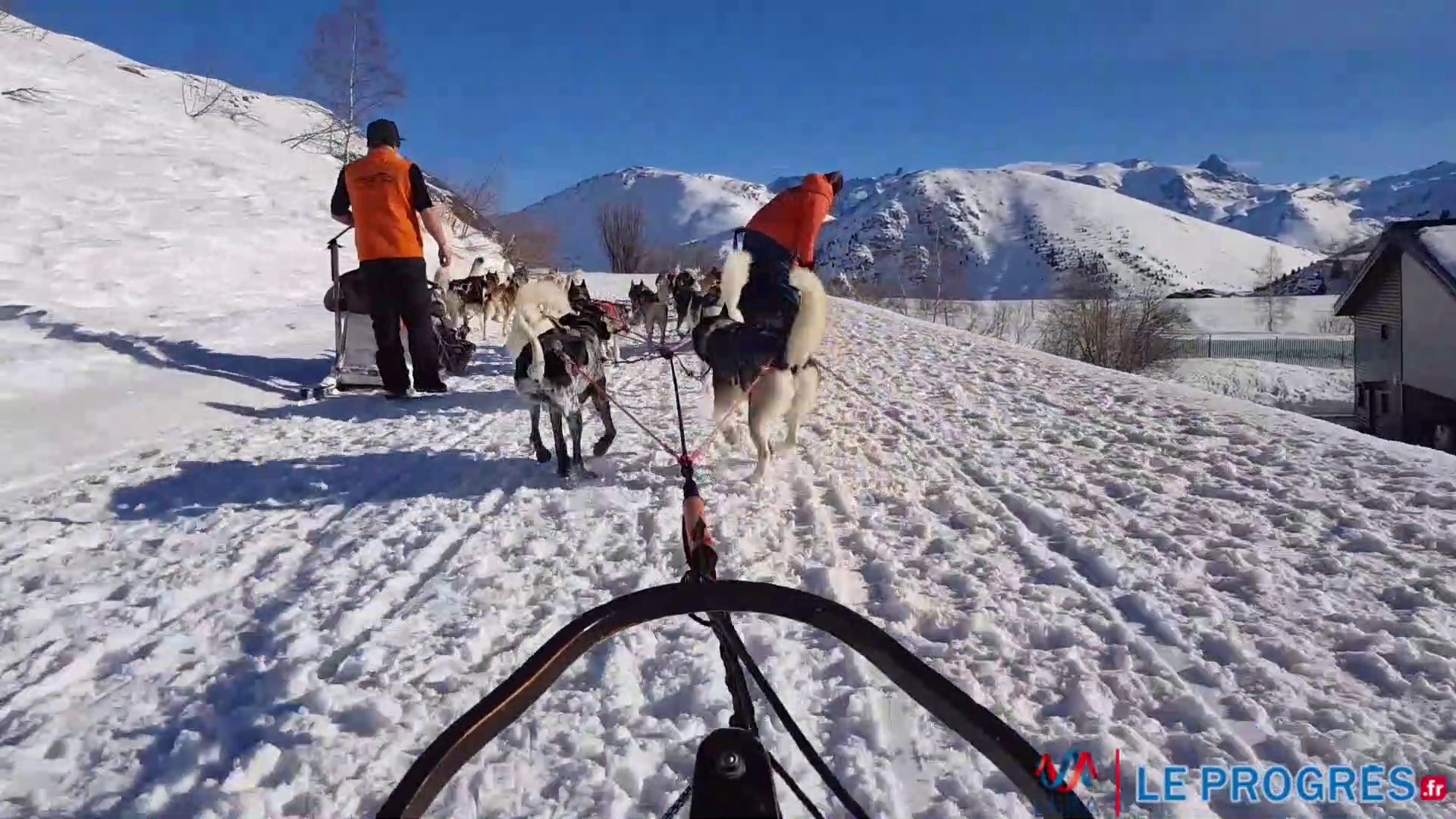 Balade en chien de traîneau à l'Alpe d'Huez - Vidéo Dailymotion